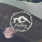 DANCE UNLIMITED OF PARADIS DECAL